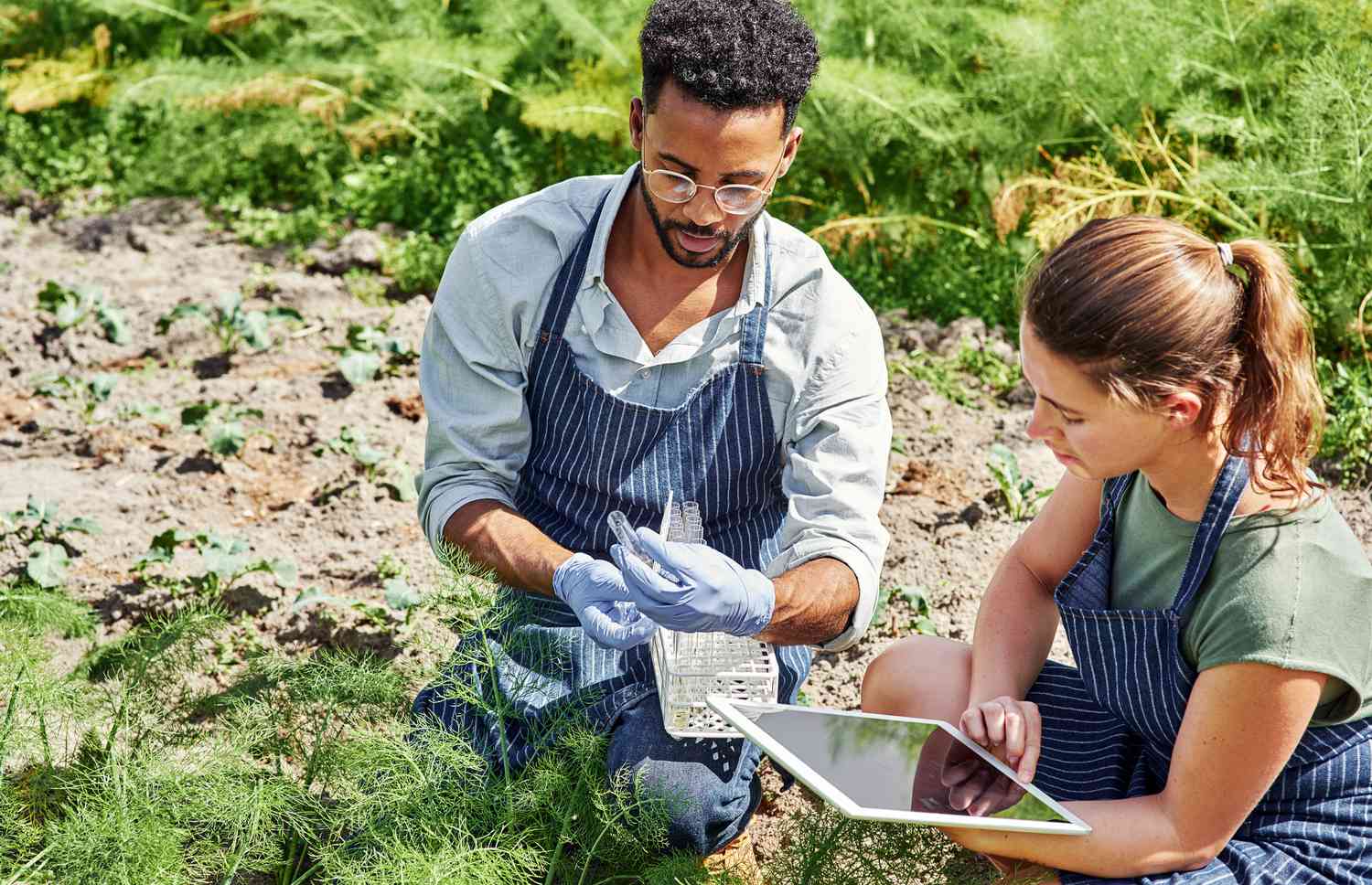 M.Tech Agriculture
